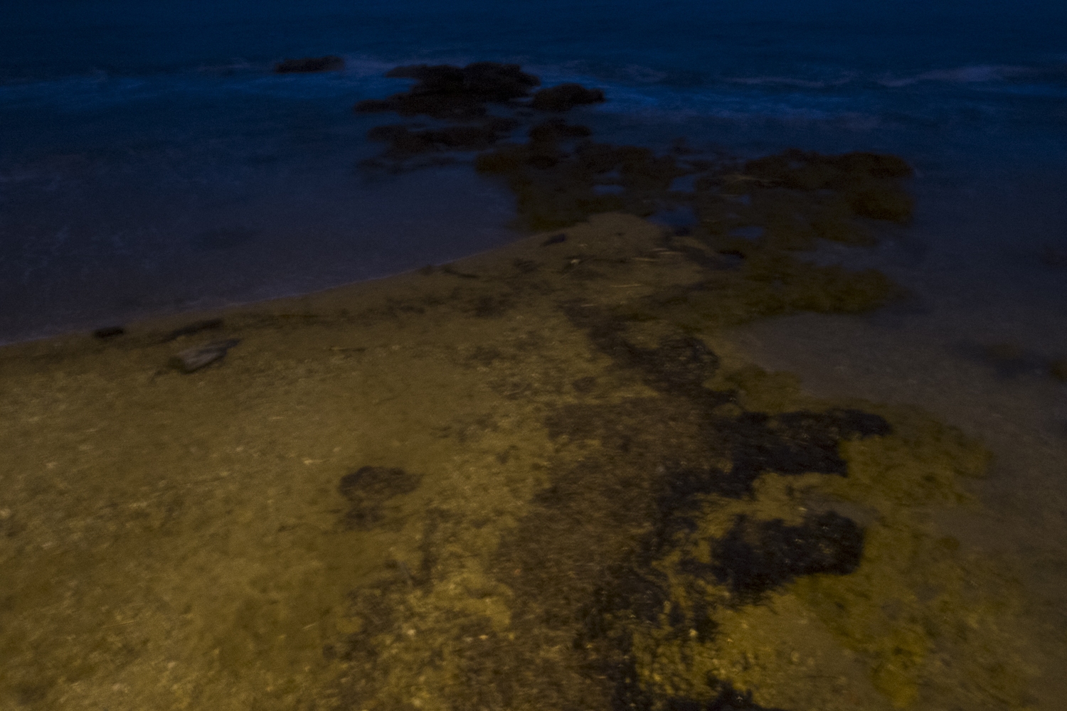 16-DSCF0033