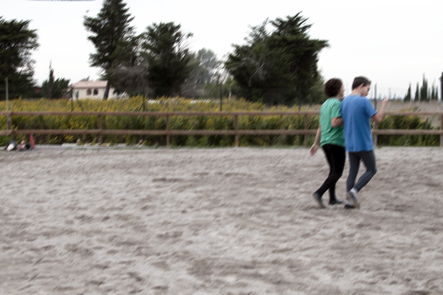 1-agnese-9