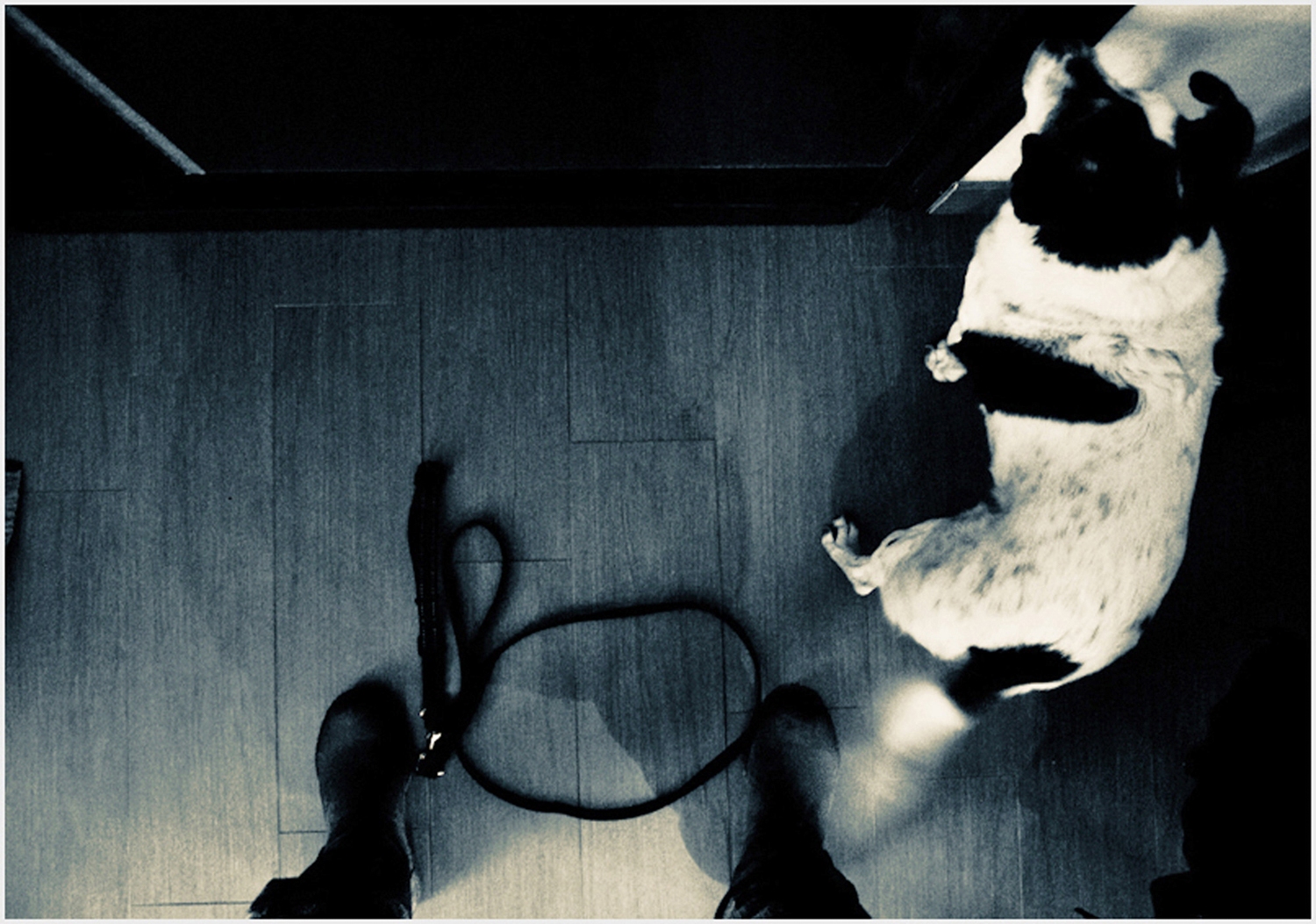 10_FRAMMENTI-DI-VITA_SILVIA-TAMPUCCI_2013-2